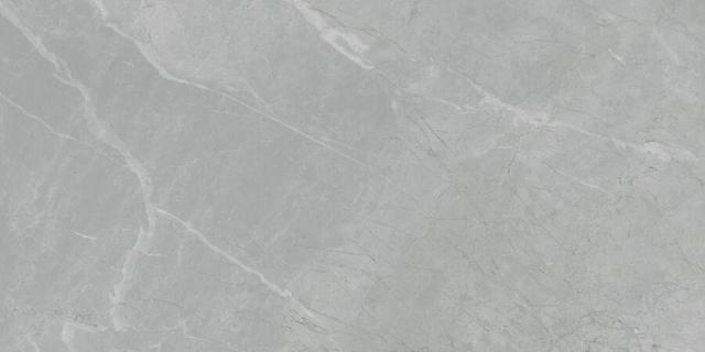 6260-0005-1001