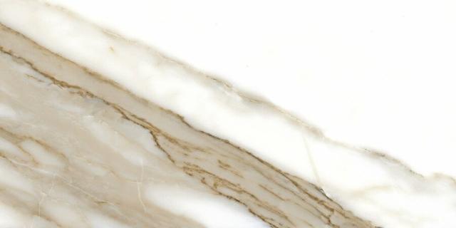 Calacatta Gold 60120 Nplus