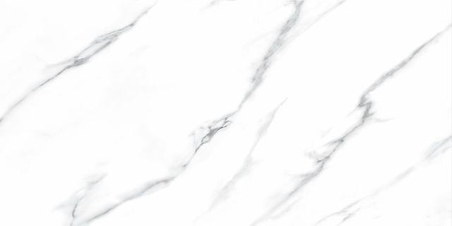 Carrara 60120 Nplus