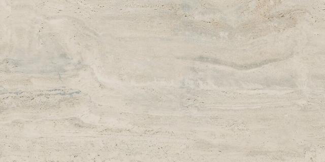 PF60005213 Bone Vein