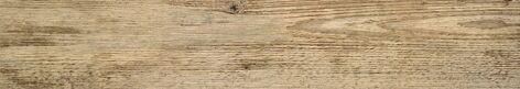 4081810 Larix  Sabbia