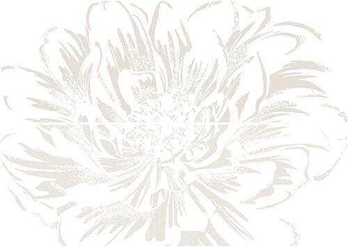ANEMONE CREMA (из 2 шт)