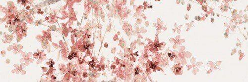 DECOR JASMINE CAYENNE-C S-51