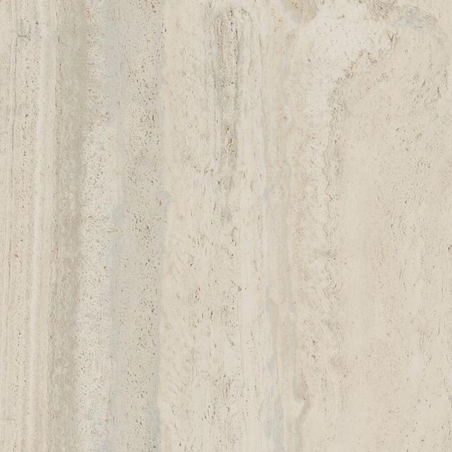 PF60006606 Bone Vein