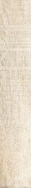 Beige 120