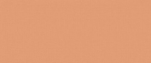 I364 Lilysuite Orange