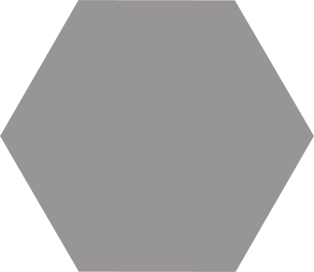 Basic Hexagon Grey