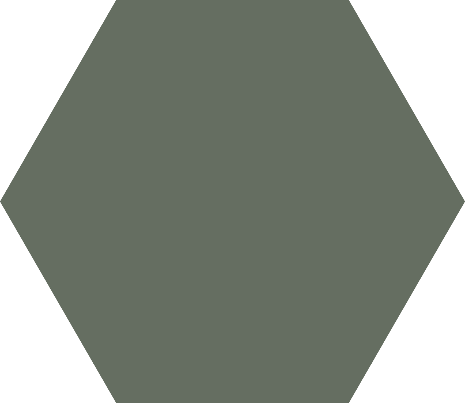 Basic Hexagon Moss