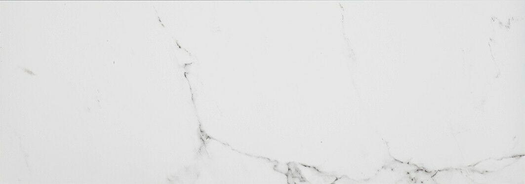 Blanco P19814151