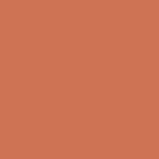 4100801 Coral