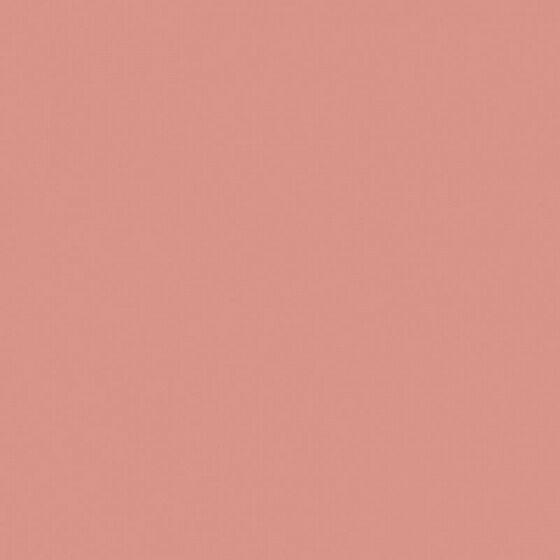 4100806 Strawberry