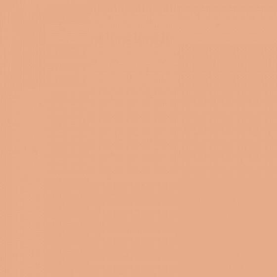4100808 Nude