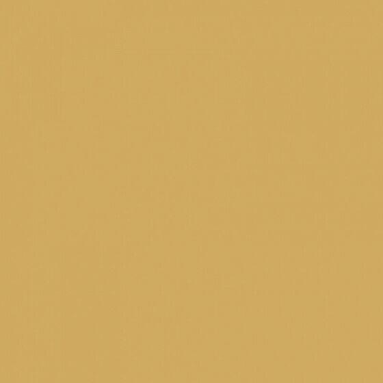 4100812 Curry