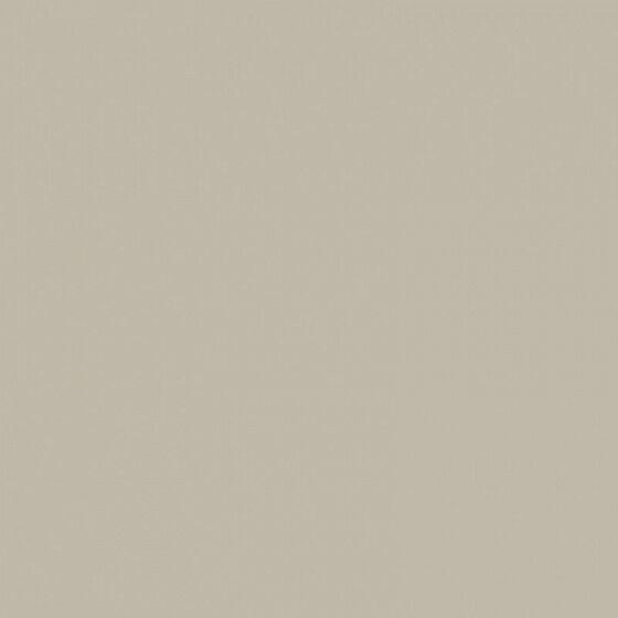 4100821 Grey