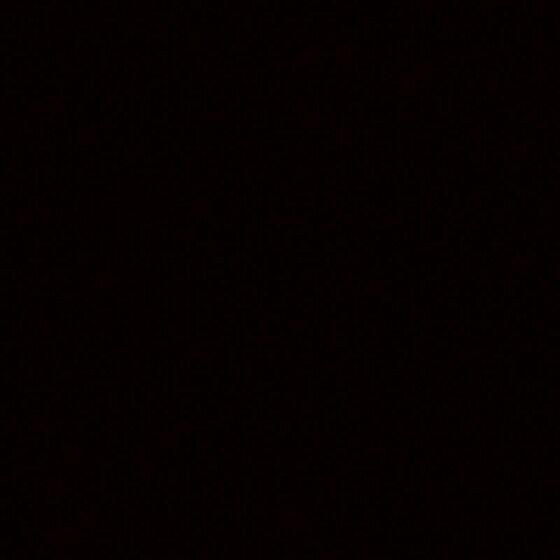 4100823 Black