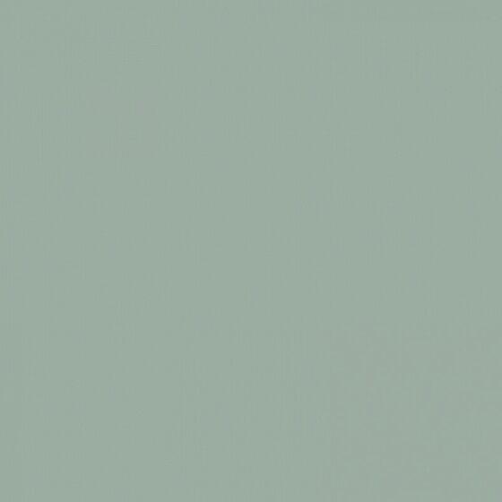 4100832 Celadon