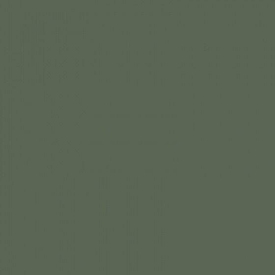 4100835 Military