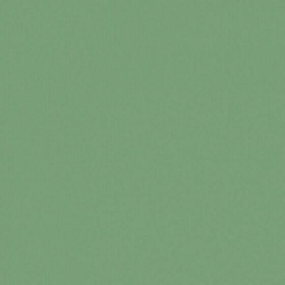 4100836 Frog