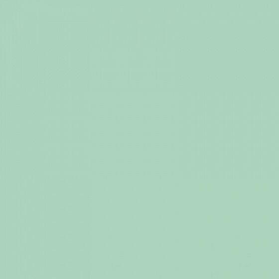 4100839 Mint