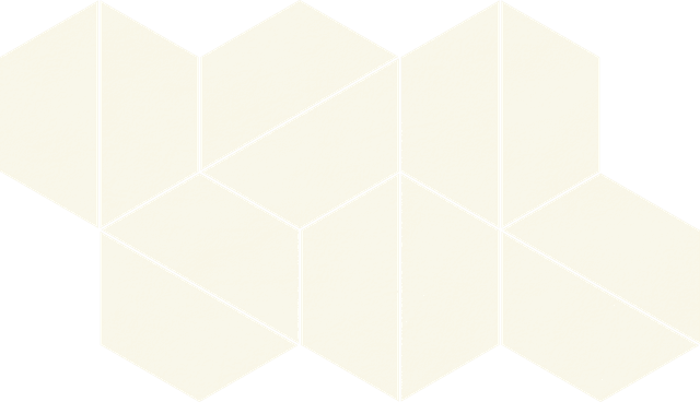 620110000127 Уайт Трапециум