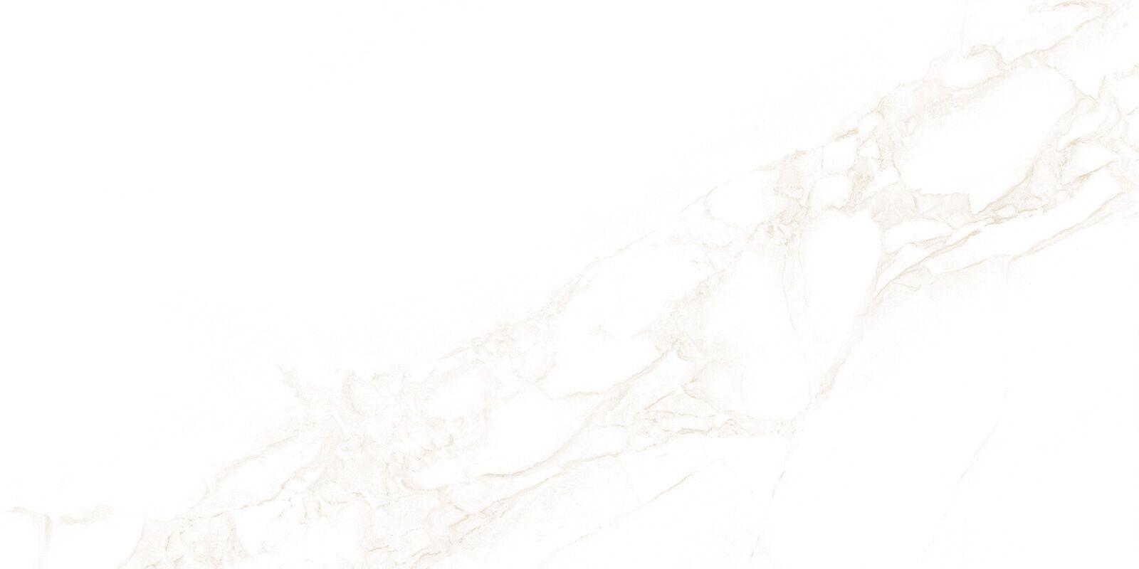 WT9ARE00 White