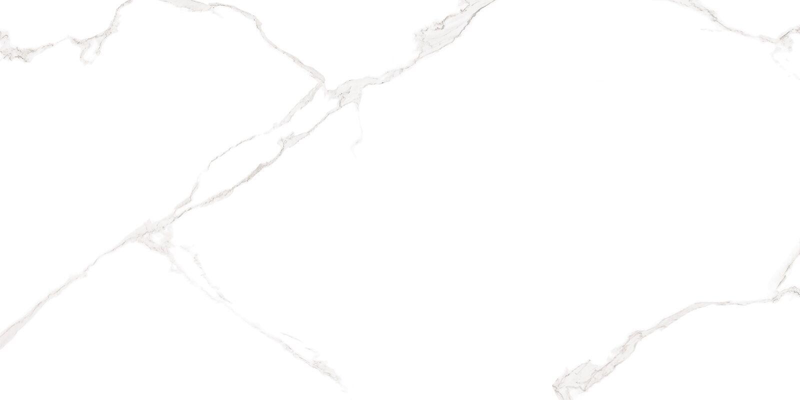 WT9ELT00 Bianco Carrara