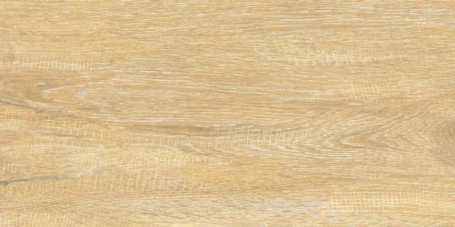 WT9ELT31 Cedar