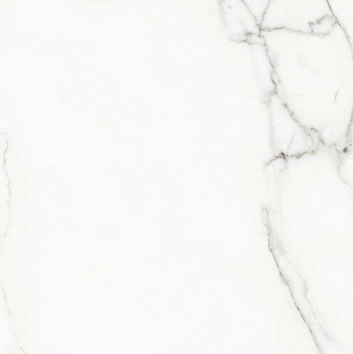 117467 White Beauty Lev