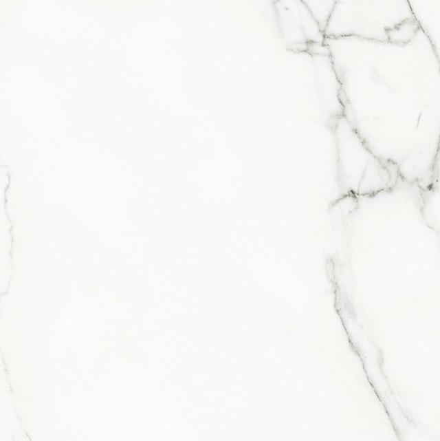 117467 White Beauty Lev