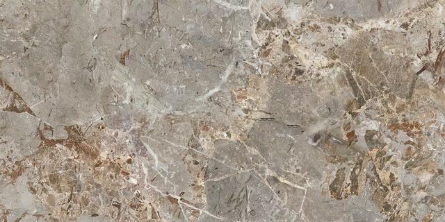 163101 Breccia Argentum