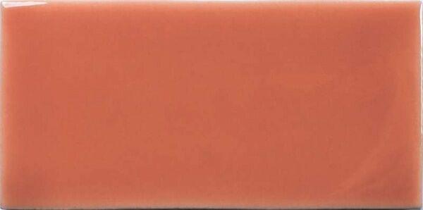 127000 Coral
