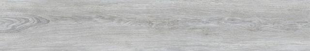 32079 Ash