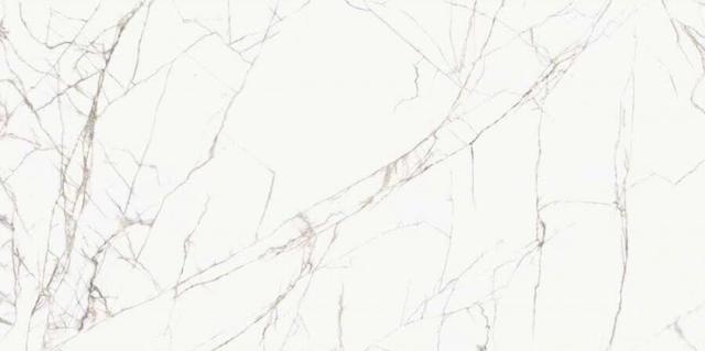 Titan White Luc
