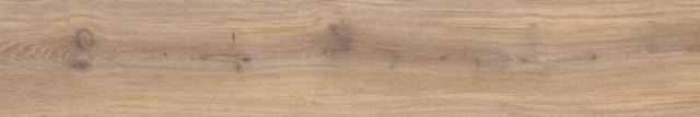 32084 Taupe