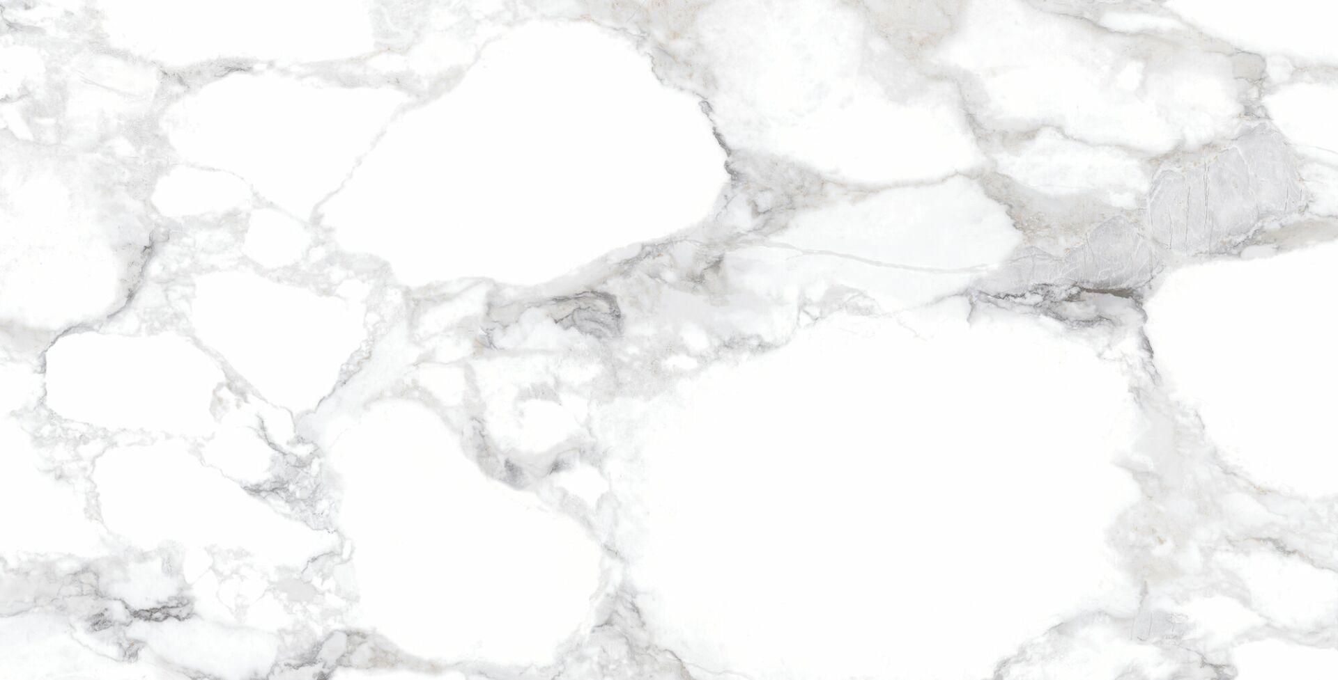 31000 White