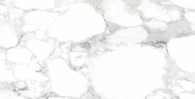 31000 White