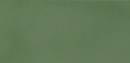 11460134 Green