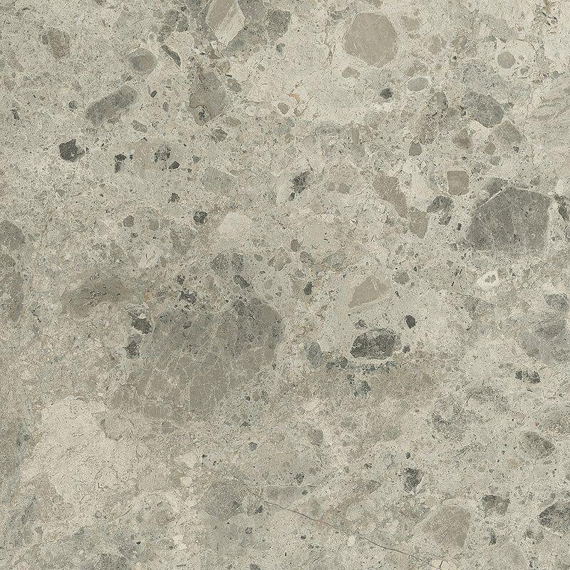 FQAI Grey