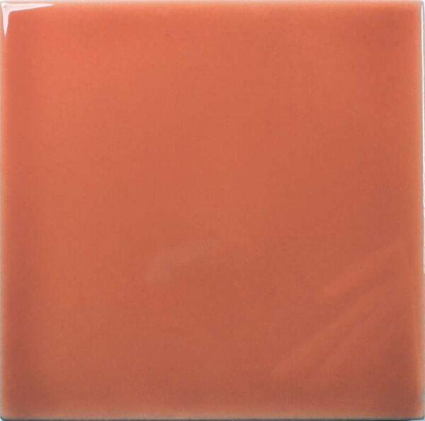 126994 Square Coral