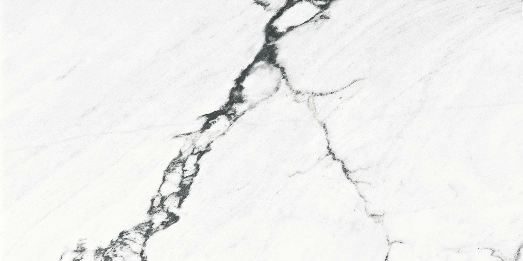 Calacatta Black