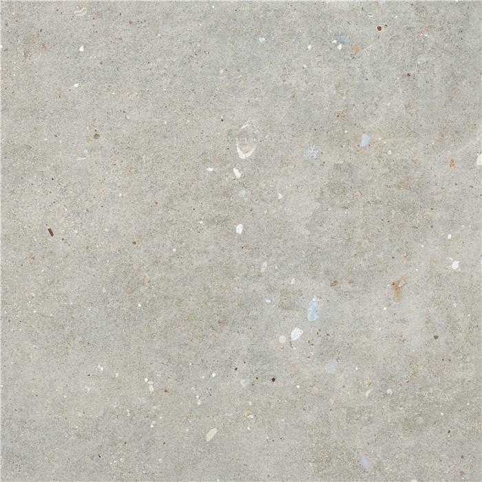 Grey Mt