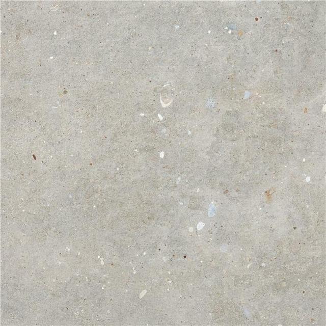 Grey Mt