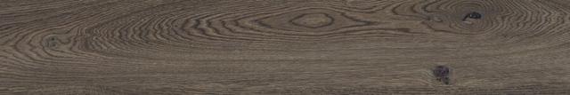 PF60010061 Mud