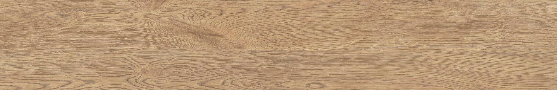 20 Rovere