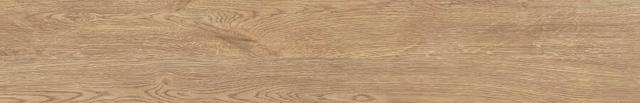 20 Rovere