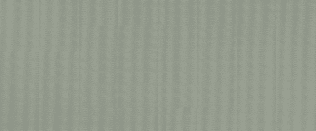 A6IL Lichen Minidots