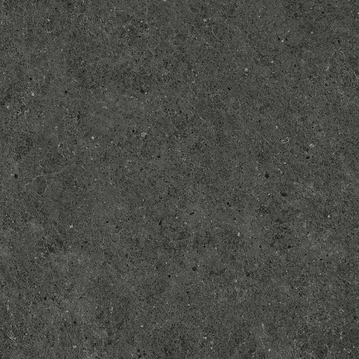 A6RP Tarmac