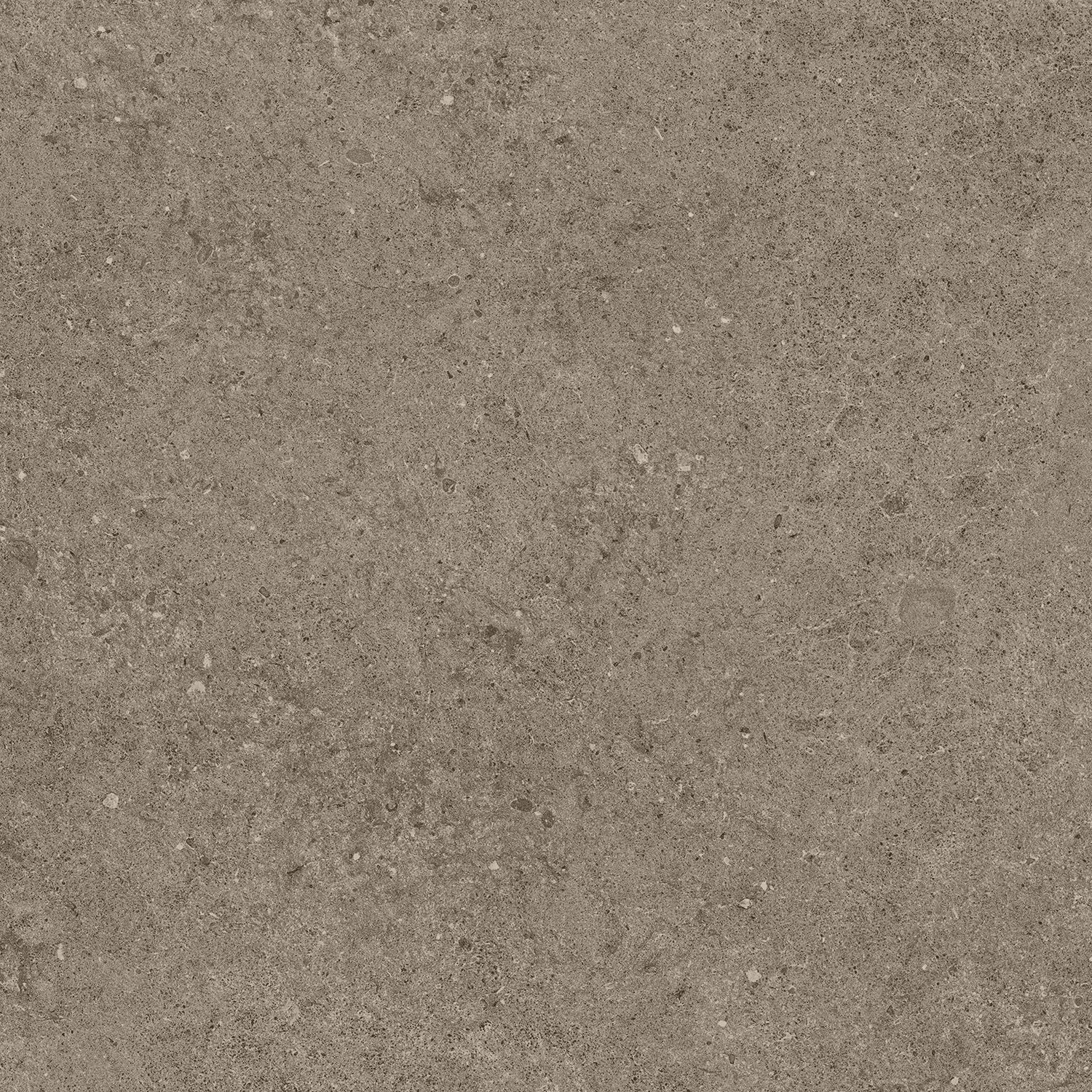 A6RK Taupe