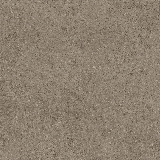 A6RK Taupe