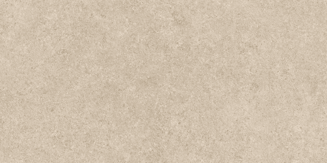A6Q4 Cream